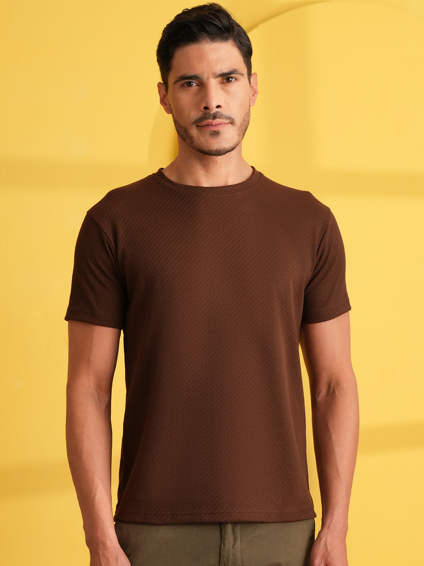 Men Solid Round Neck T-shirt Brown
