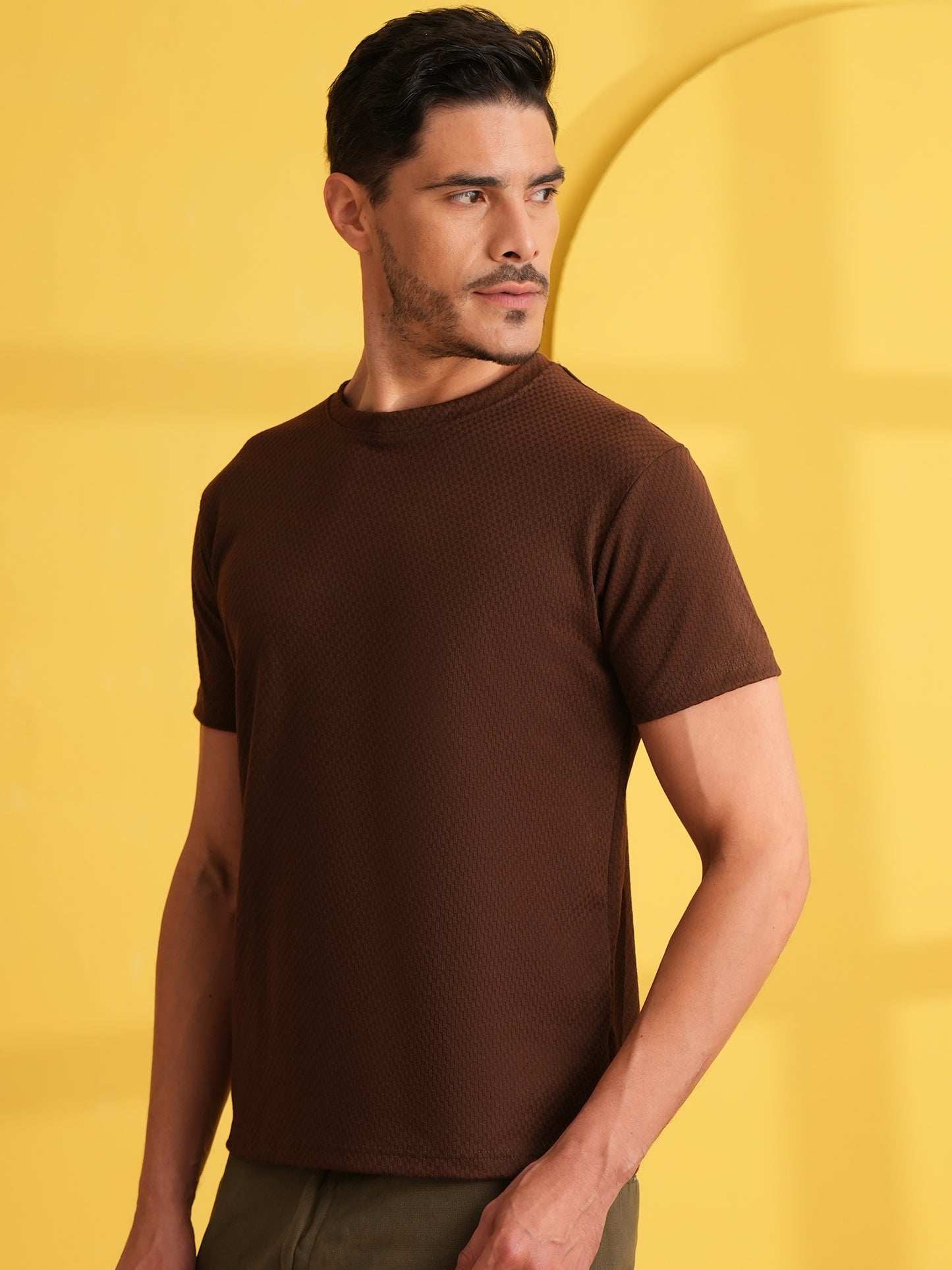 Men Solid Round Neck T-shirt Brown