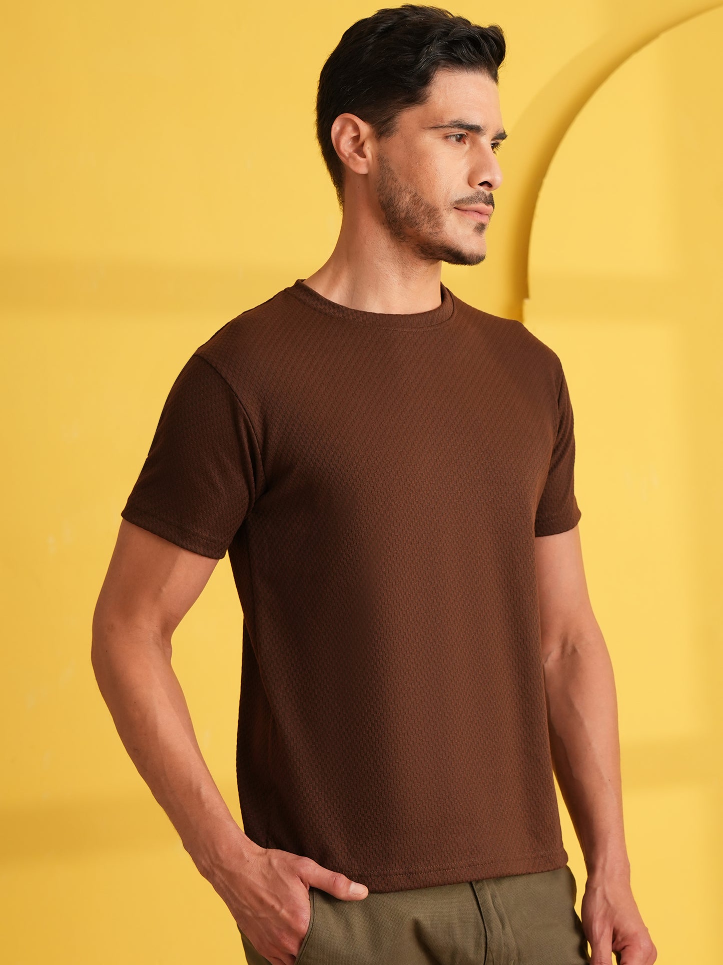 Men Solid Round Neck T-shirt Brown