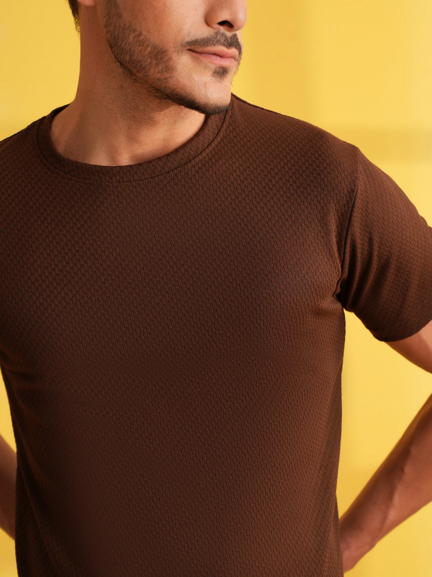 Men Solid Round Neck T-shirt Brown