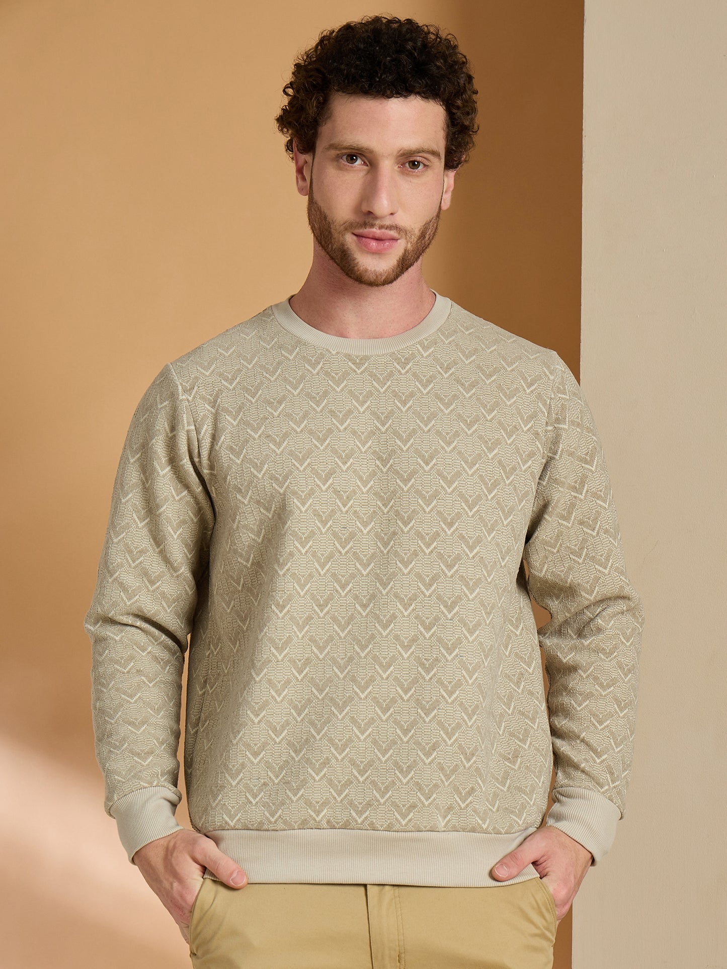 Textured Pullover Full Sleeves Round Neck Sweatshirt