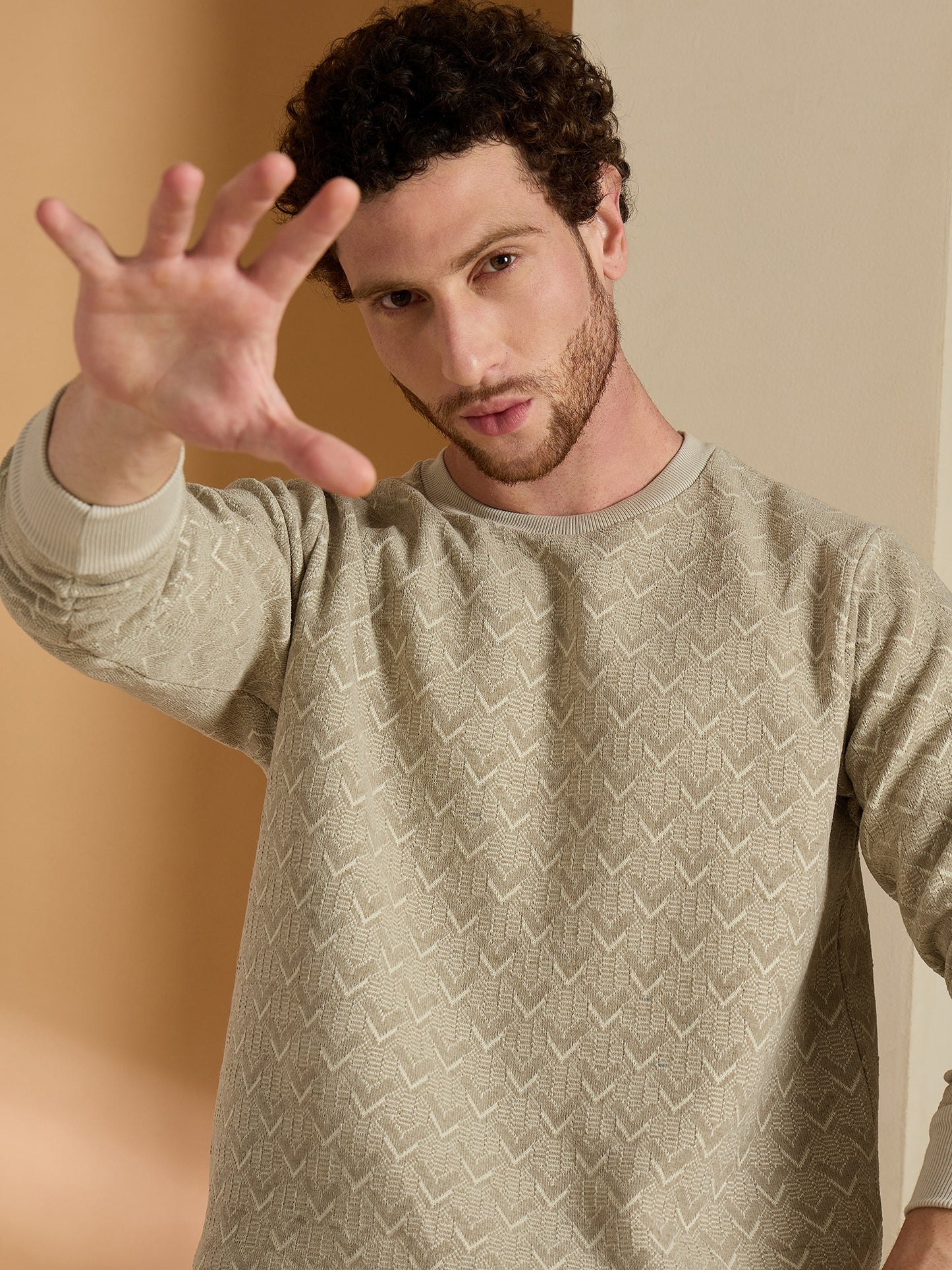 Textured Pullover Full Sleeves Round Neck Sweatshirt