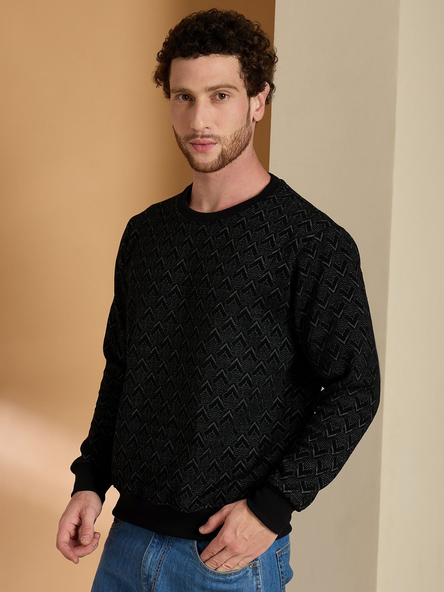 Textured Pullover Full Sleeves Round Neck Sweatshirt
