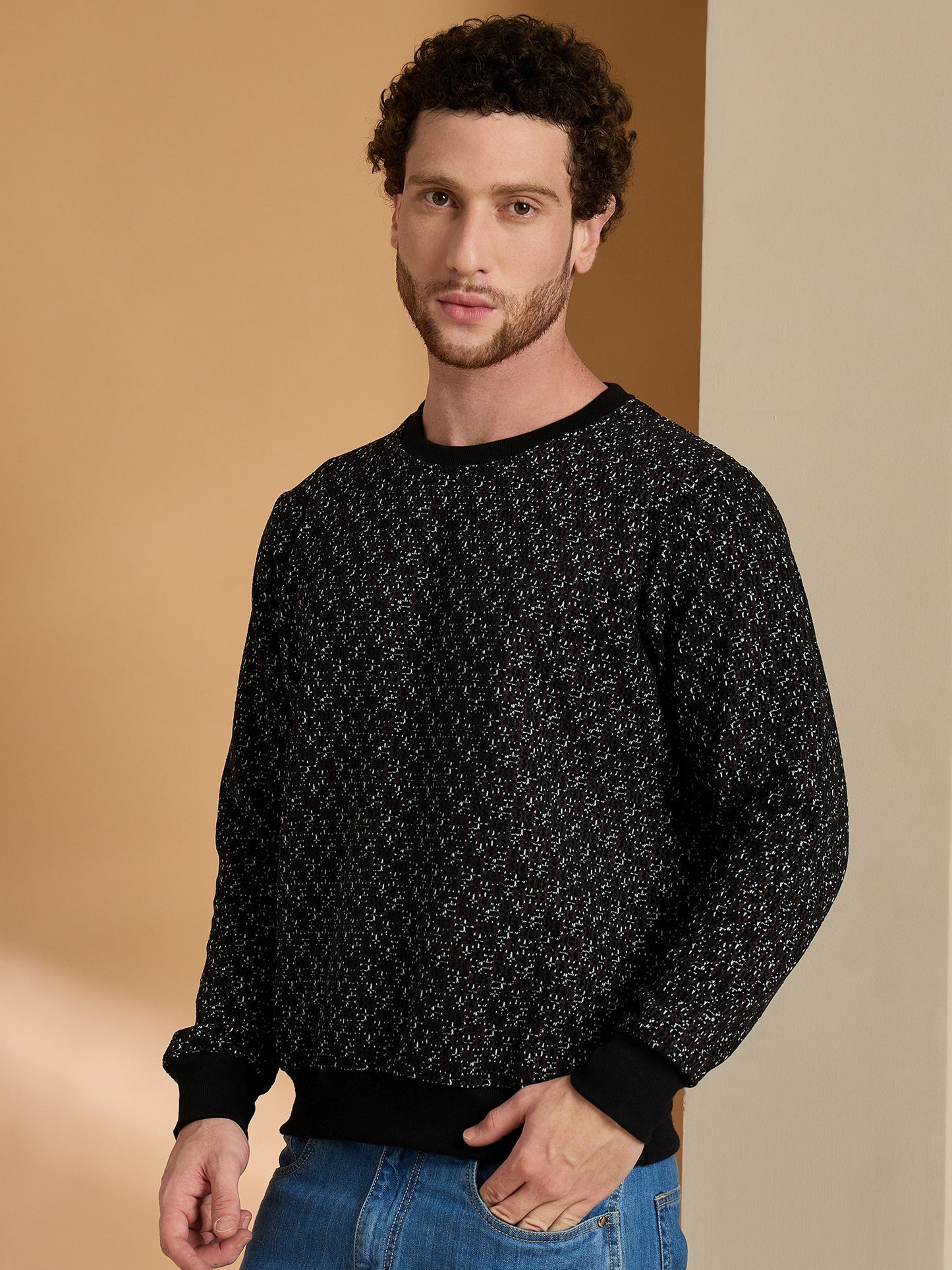 Textured Pullover Full Sleeves Round Neck Sweatshirt