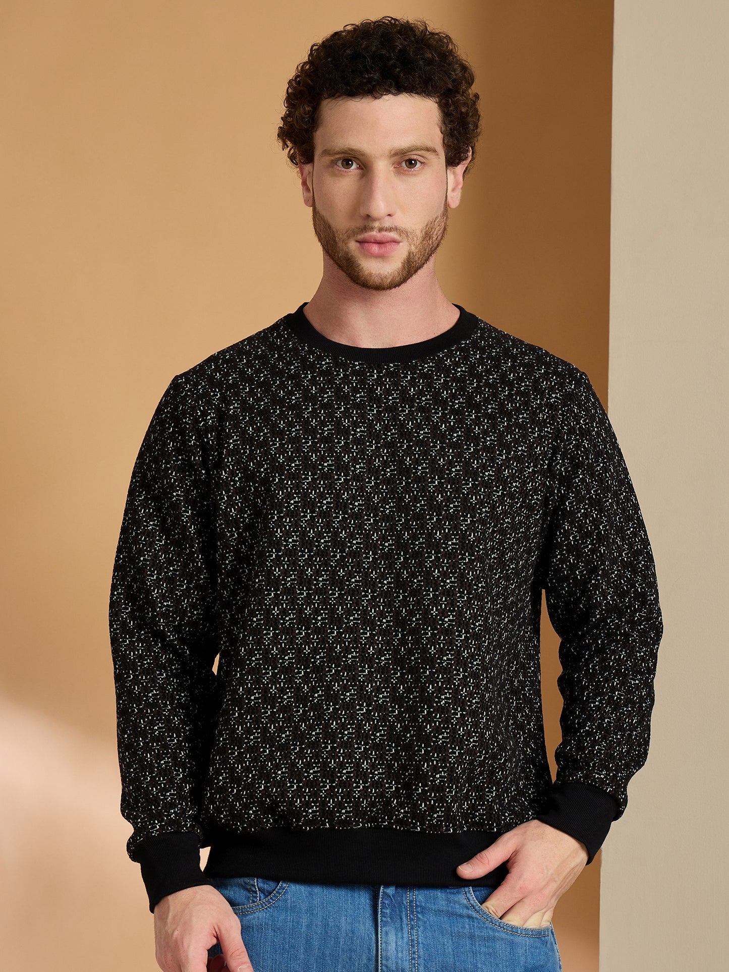 Textured Pullover Full Sleeves Round Neck Sweatshirt