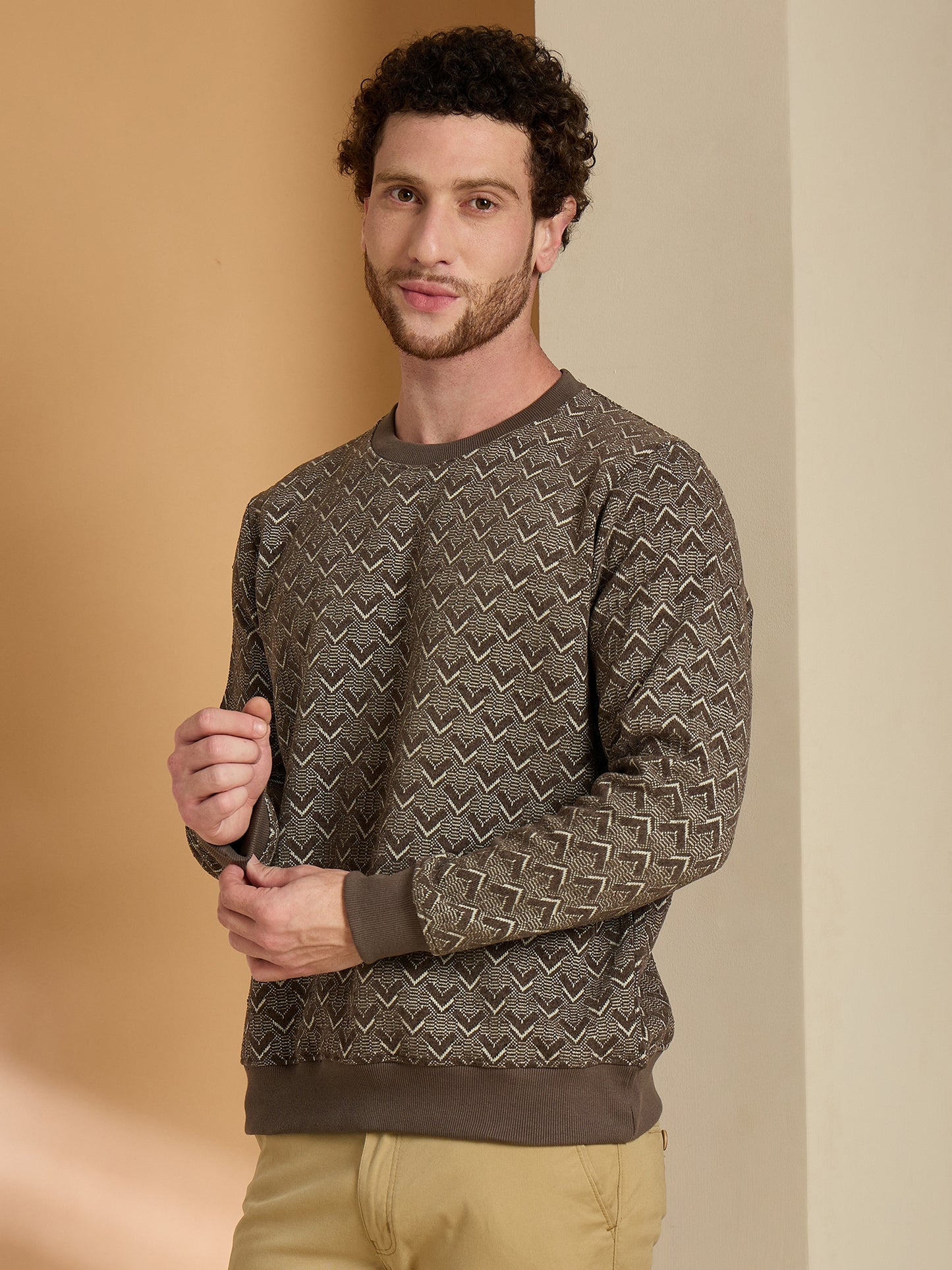 Textured Pullover Full Sleeves Round Neck Sweatshirt