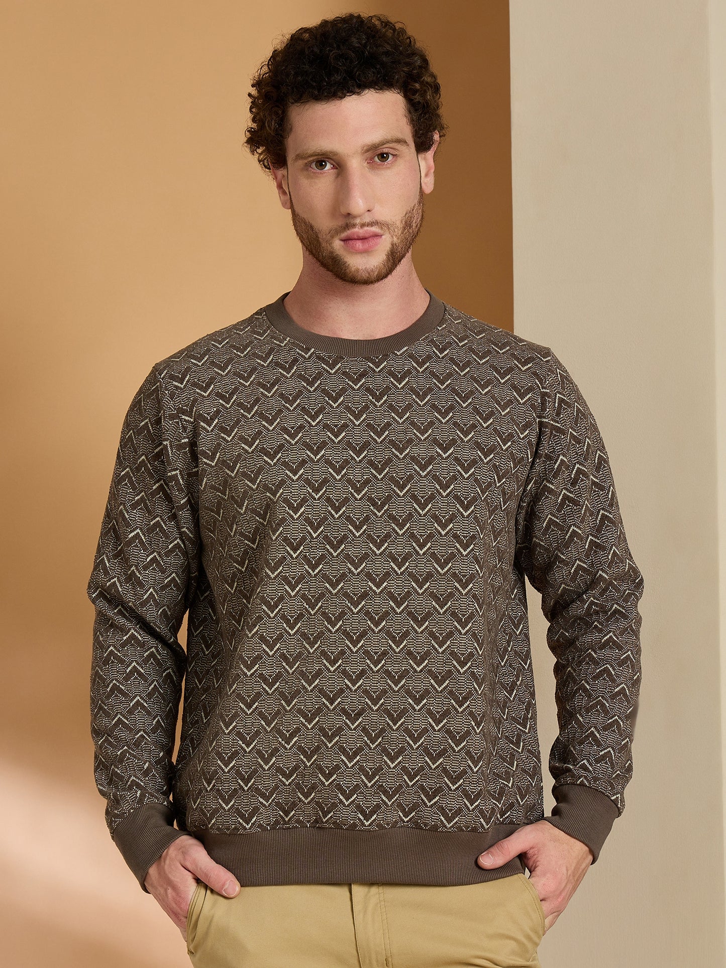 Textured Pullover Full Sleeves Round Neck Sweatshirt