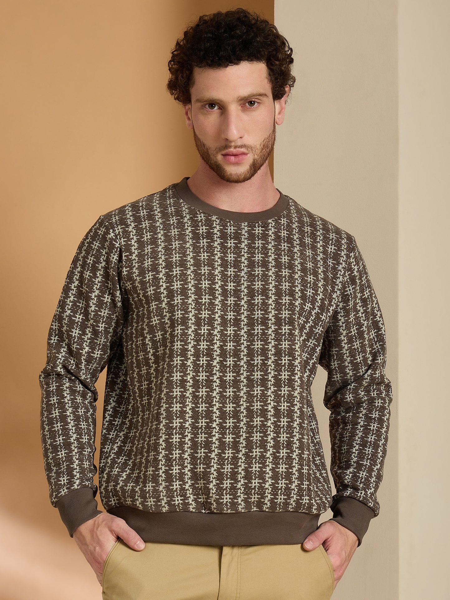 Textured Pullover Full Sleeves Round Neck Sweatshirt