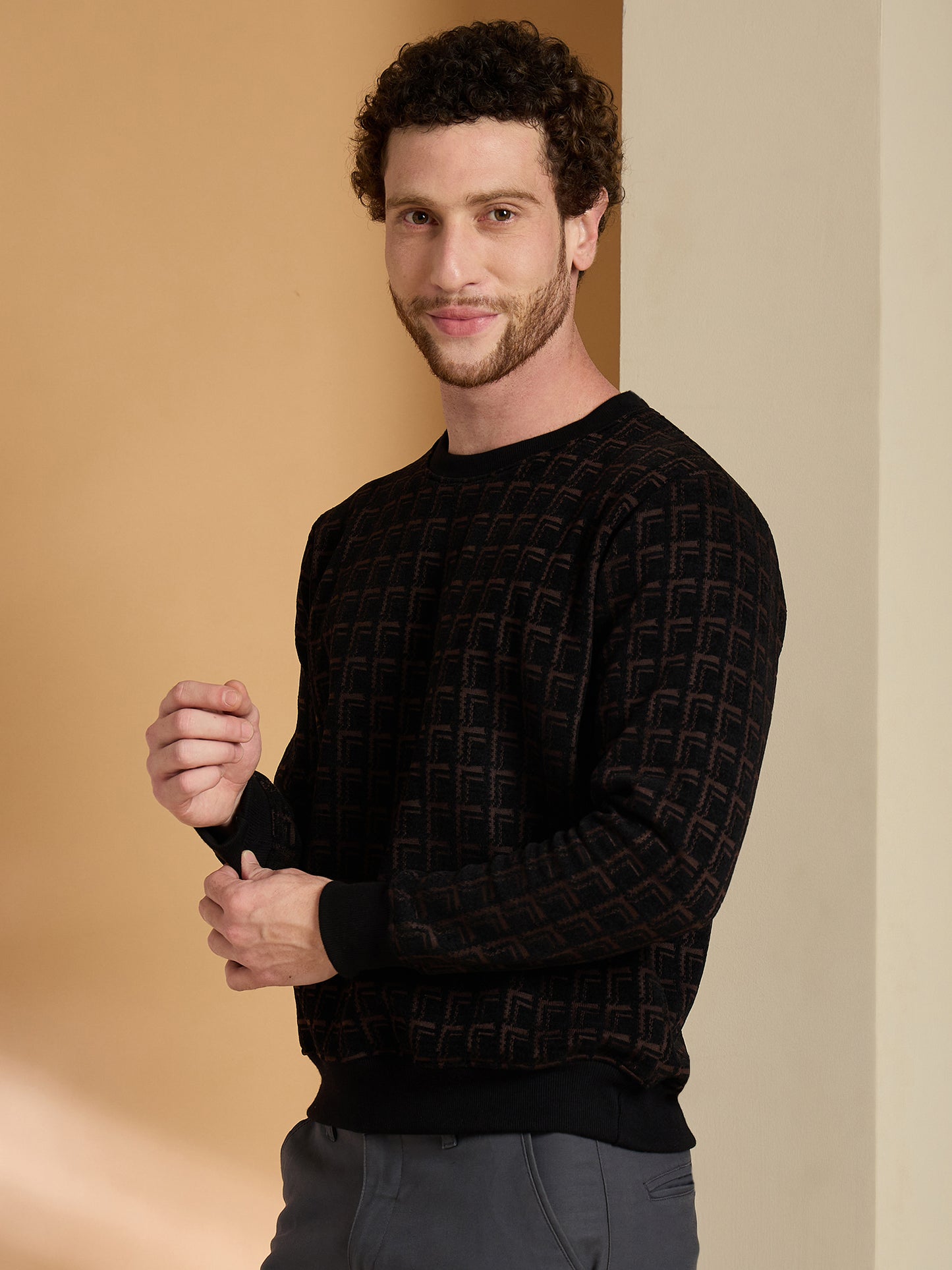 Textured Pullover Full Sleeves Round Neck Sweatshirt