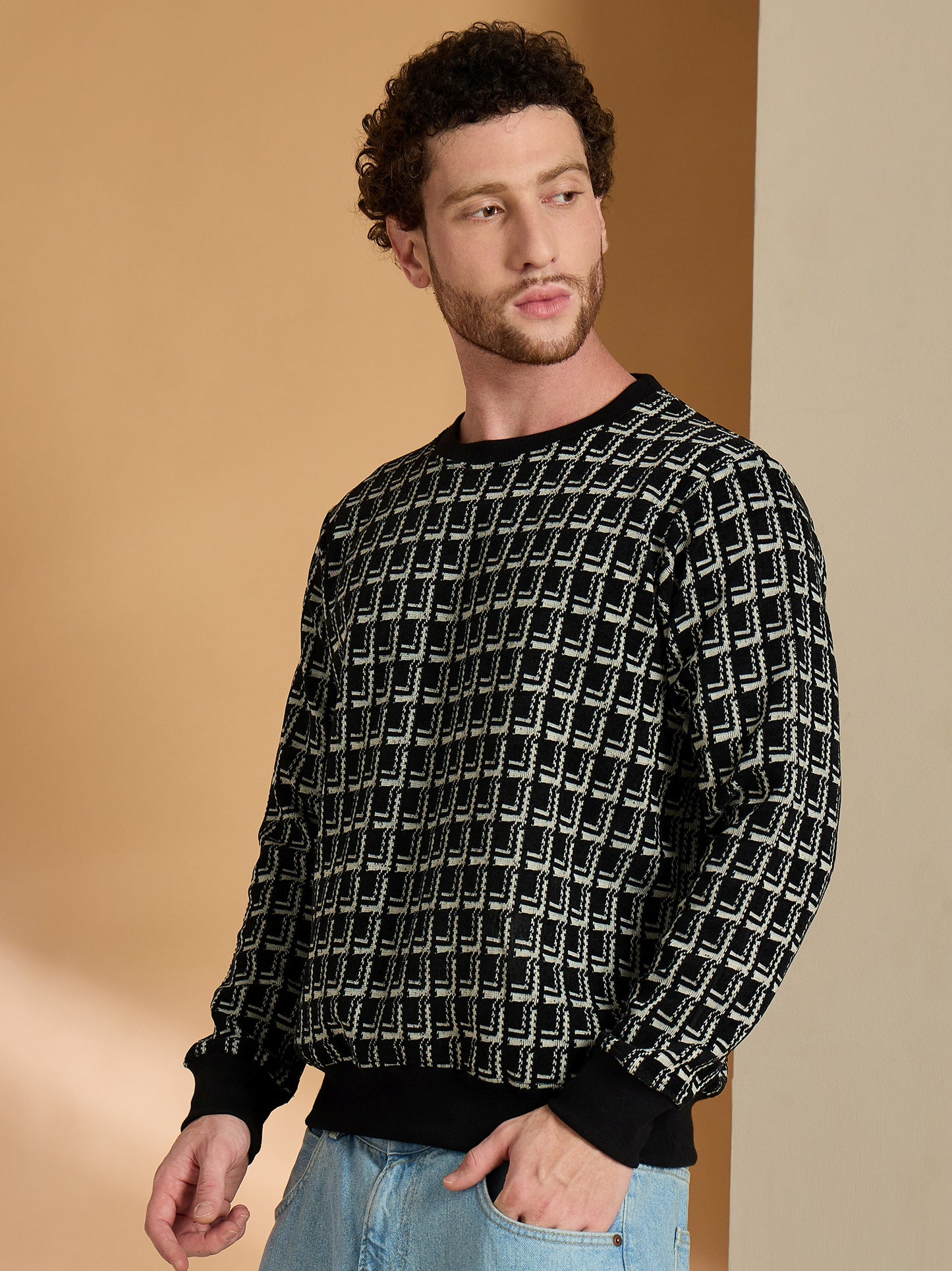 Textured Pullover Full Sleeves Round Neck Sweatshirt