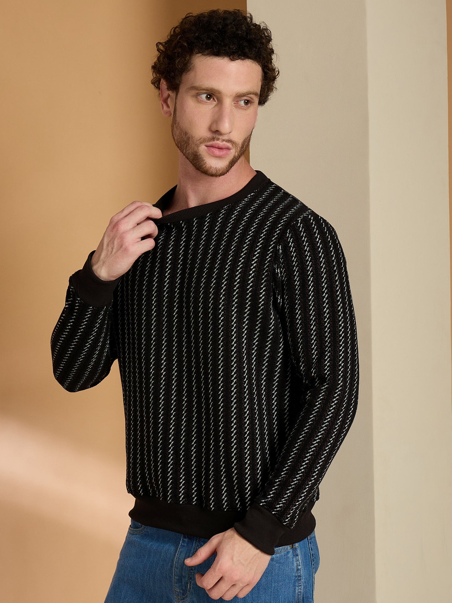 Textured Pullover Full Sleeves Round Neck Sweatshirt