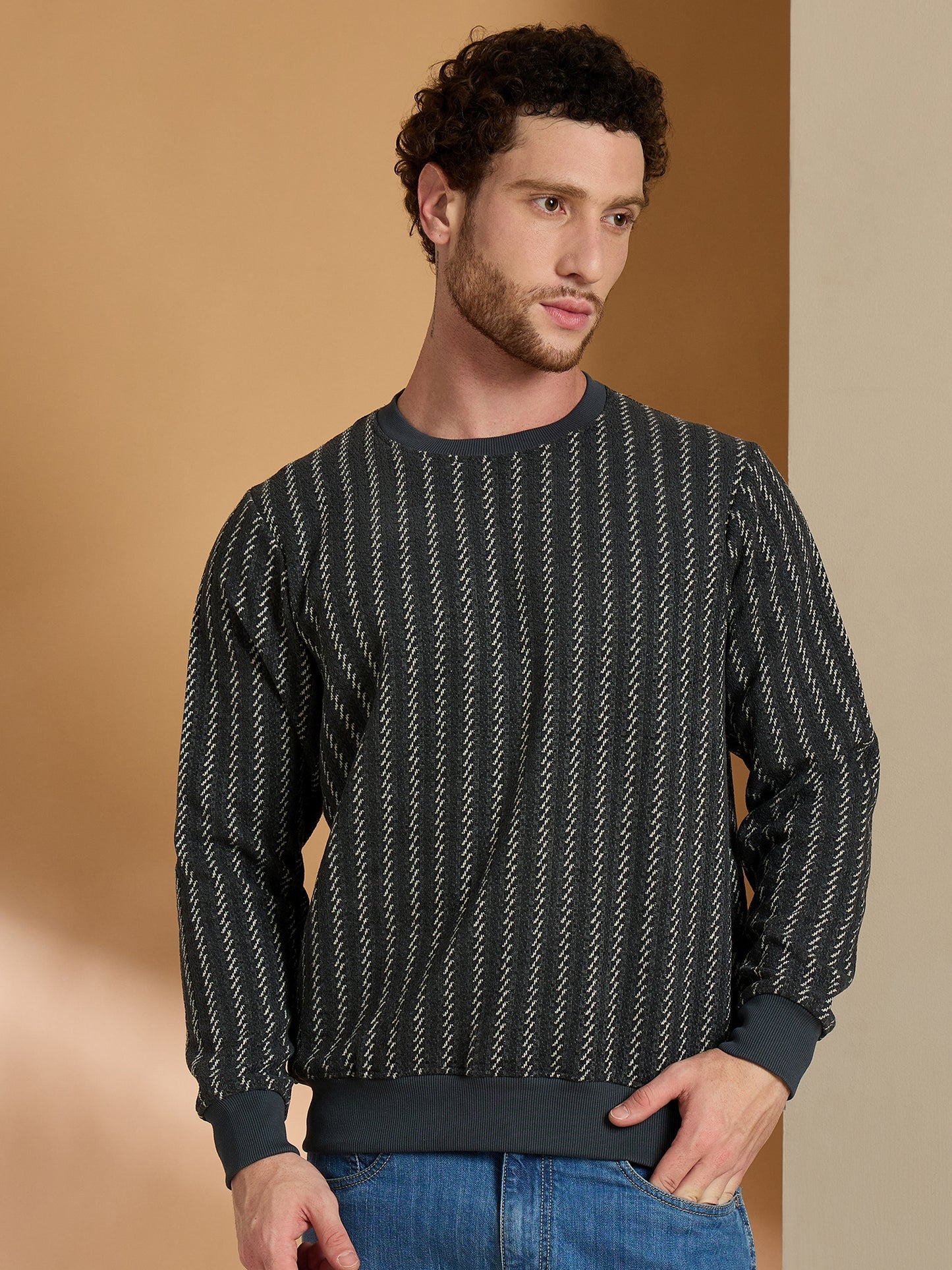 Textured Pullover Full Sleeves Round Neck Sweatshirt