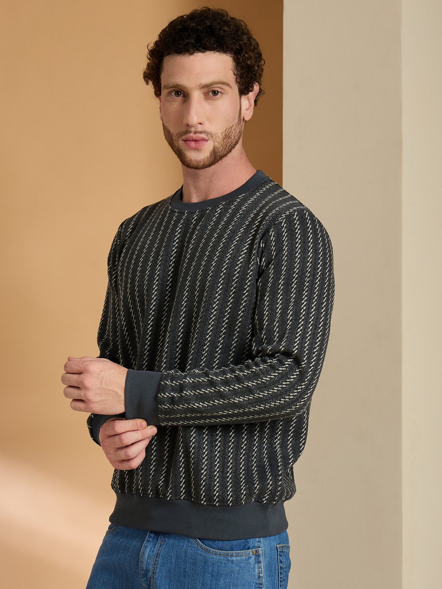 Textured Pullover Full Sleeves Round Neck Sweatshirt