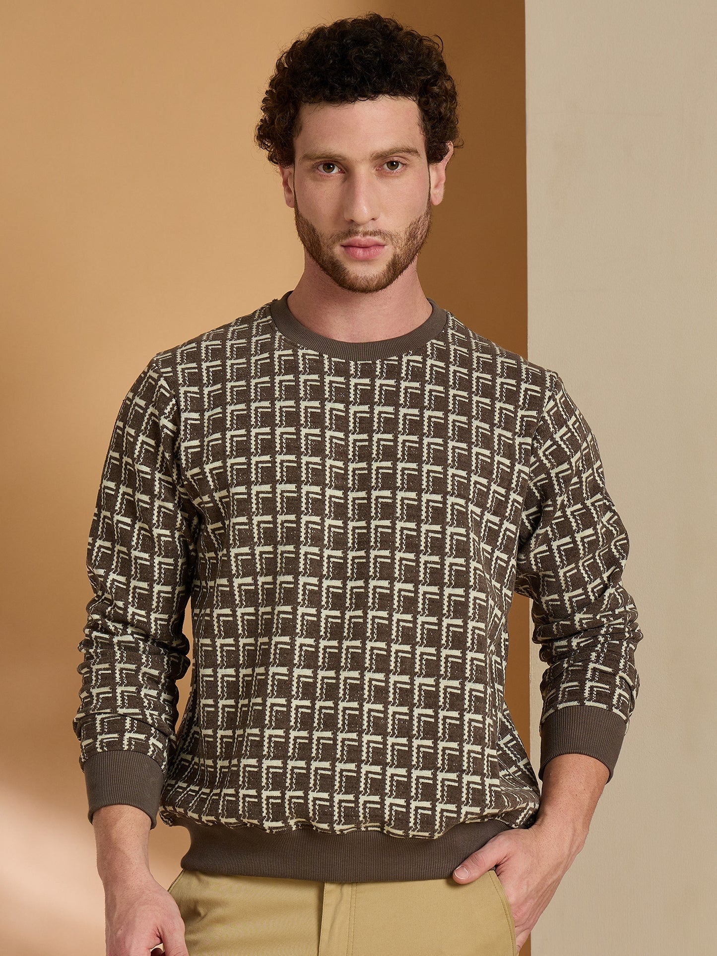 Textured Pullover Full Sleeves Round Neck Sweatshirt