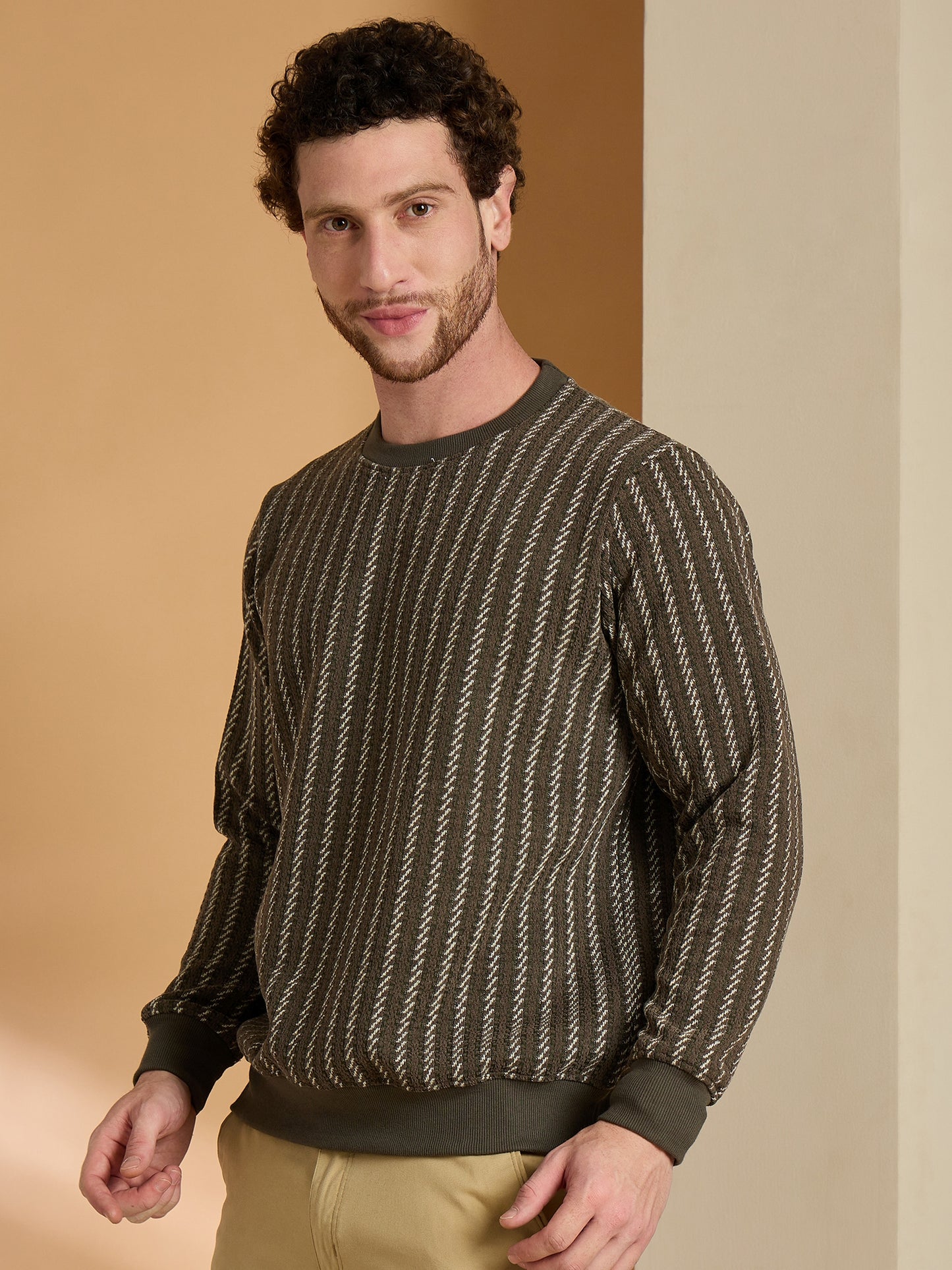 Textured Pullover Full Sleeves Round Neck Sweatshirt