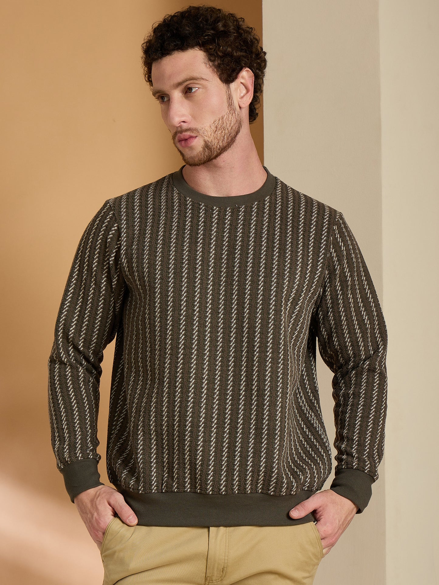 Textured Pullover Full Sleeves Round Neck Sweatshirt