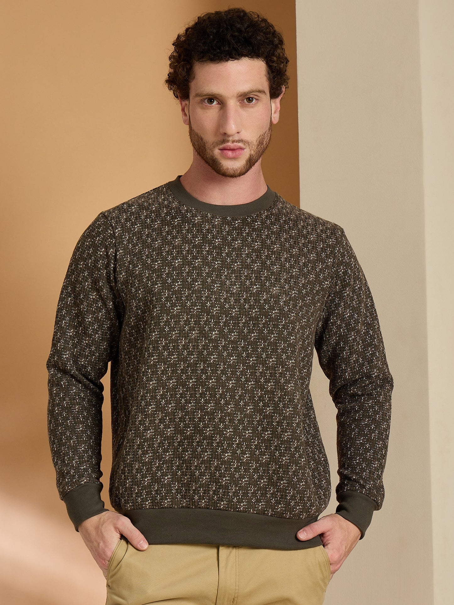 Textured Pullover Full Sleeves Round Neck Sweatshirt