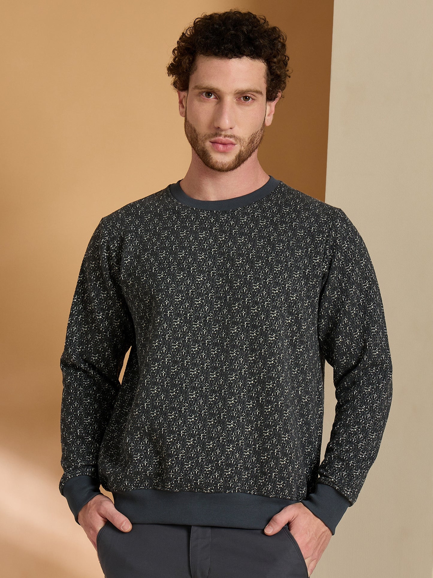 Textured Pullover Full Sleeves Round Neck Sweatshirt