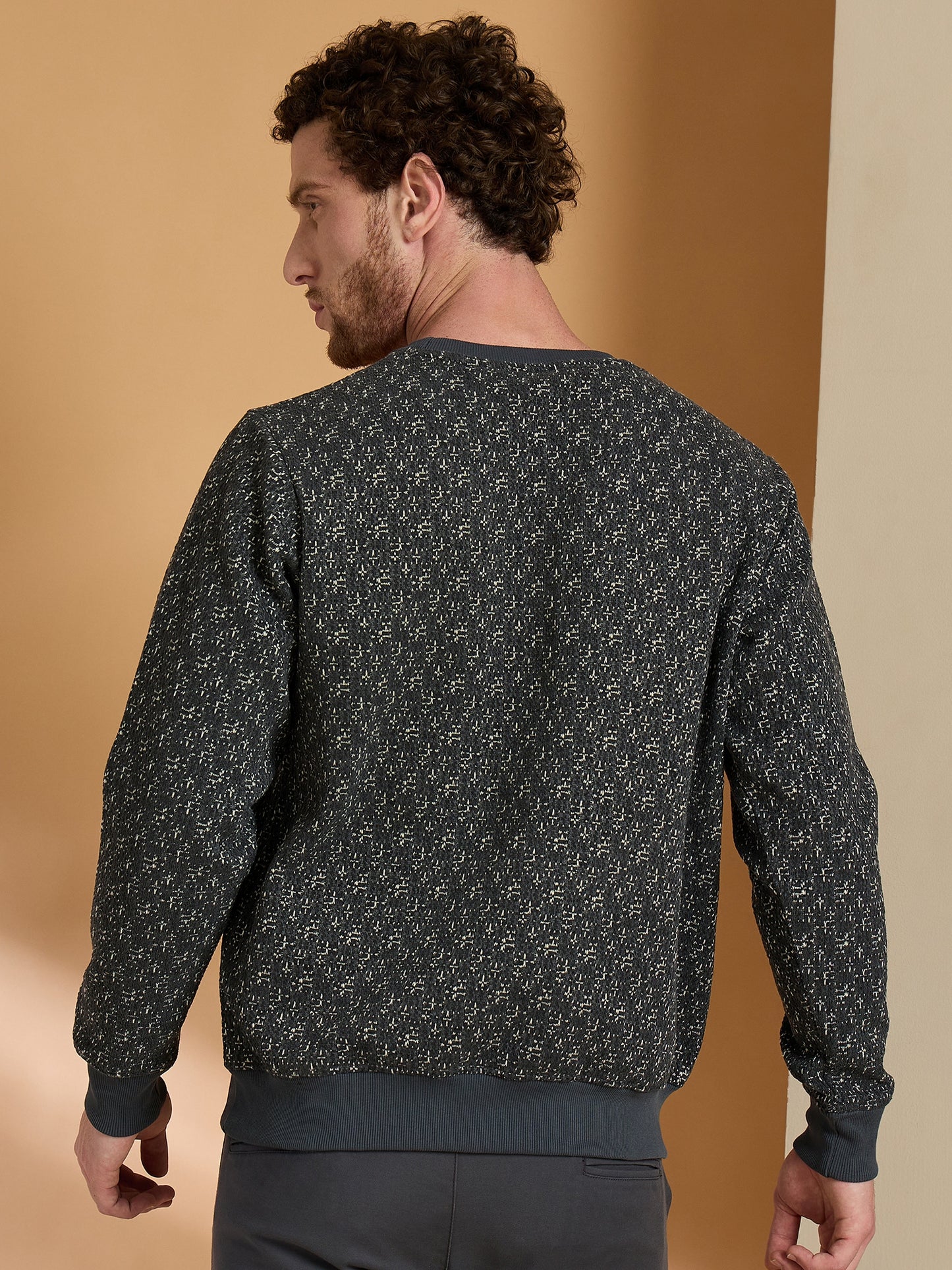 Textured Pullover Full Sleeves Round Neck Sweatshirt