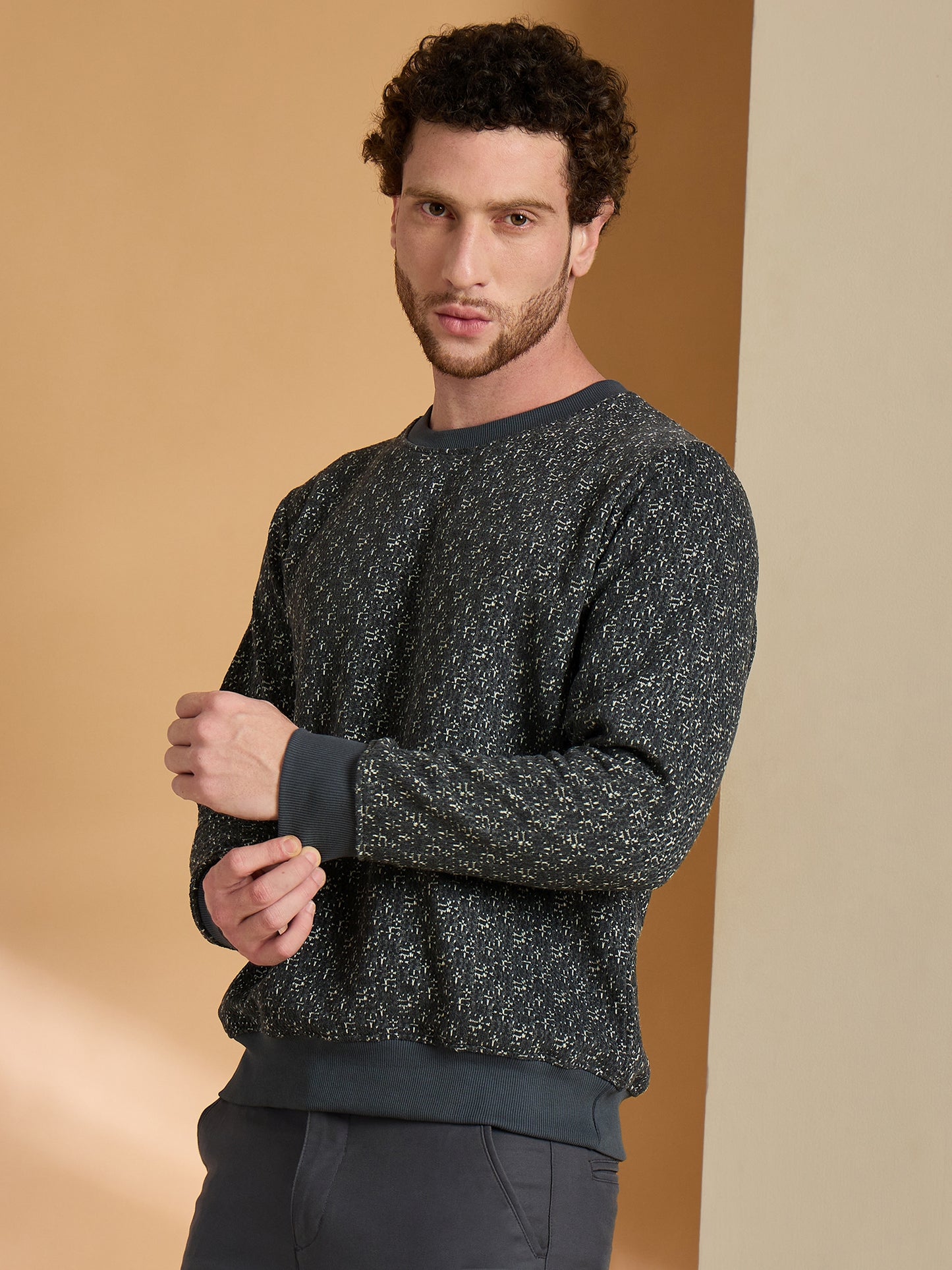 Textured Pullover Full Sleeves Round Neck Sweatshirt