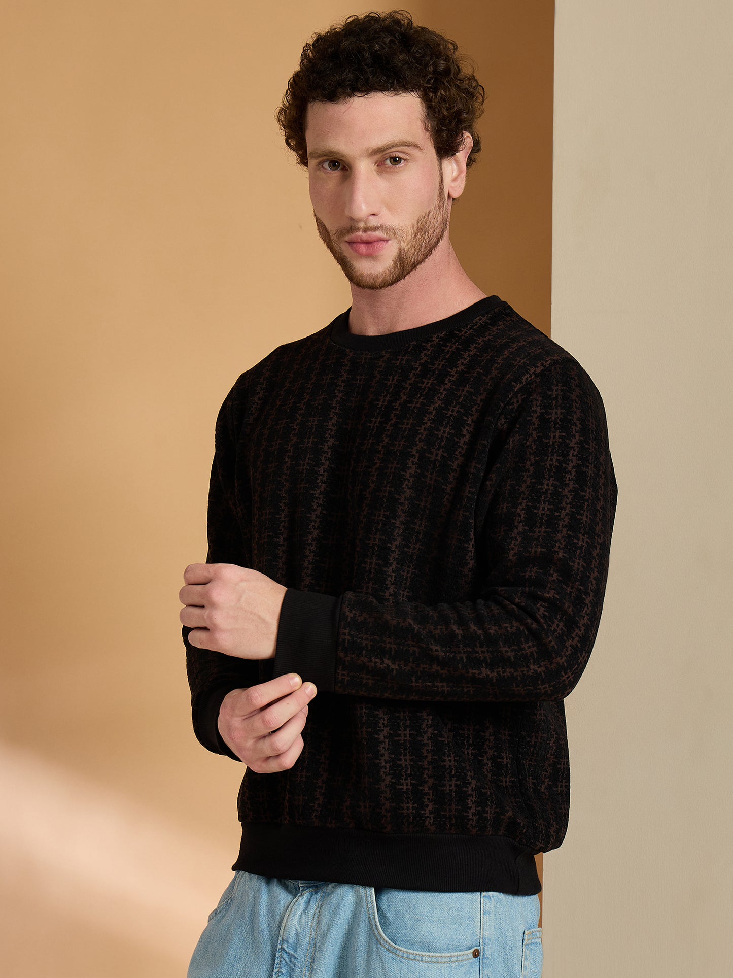 Textured Pullover Full Sleeves Round Neck Sweatshirt