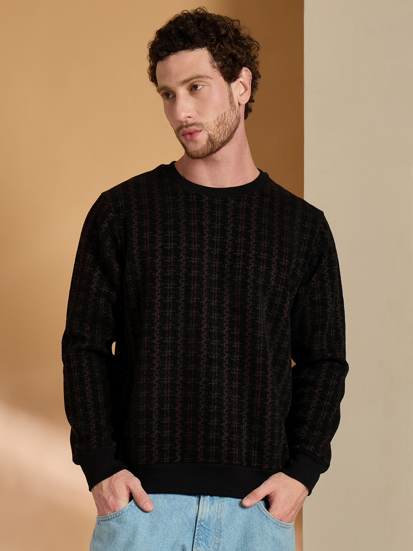 Textured Pullover Full Sleeves Round Neck Sweatshirt