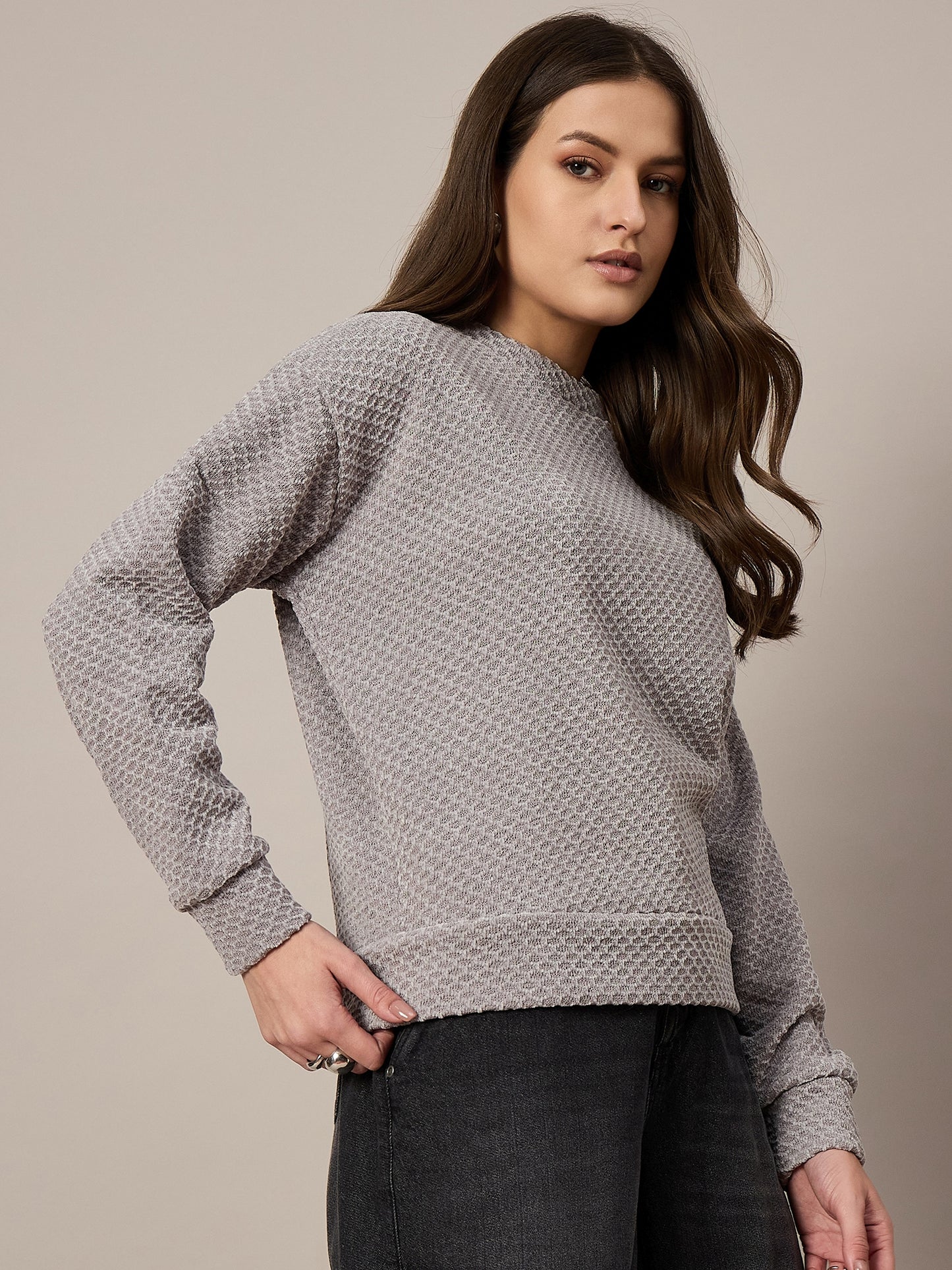 GreyVelour Sweatshirt