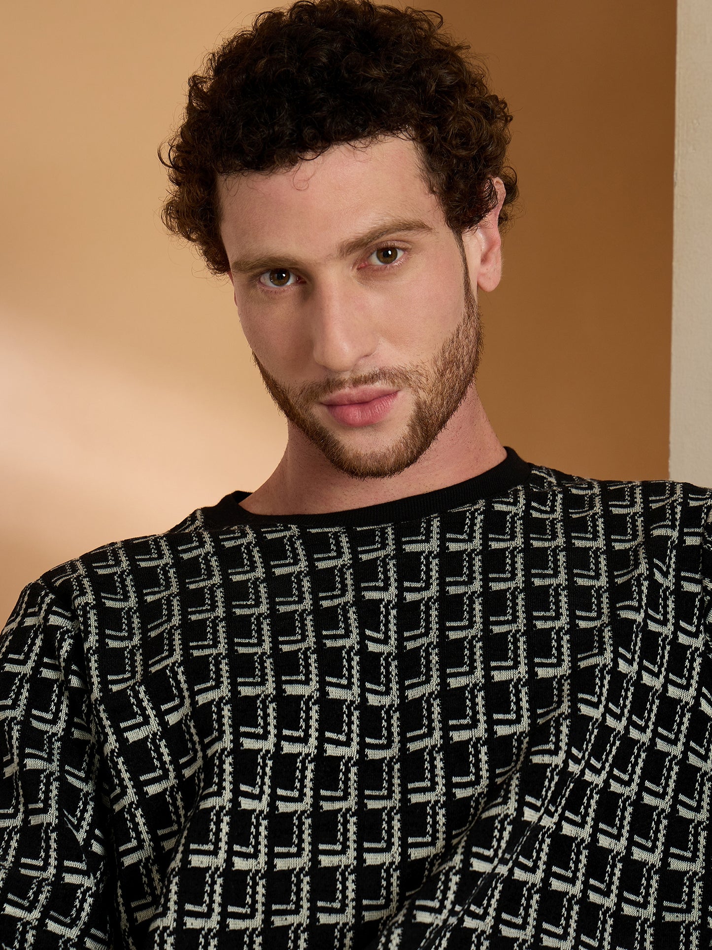 Textured Pullover Full Sleeves Round Neck Sweatshirt