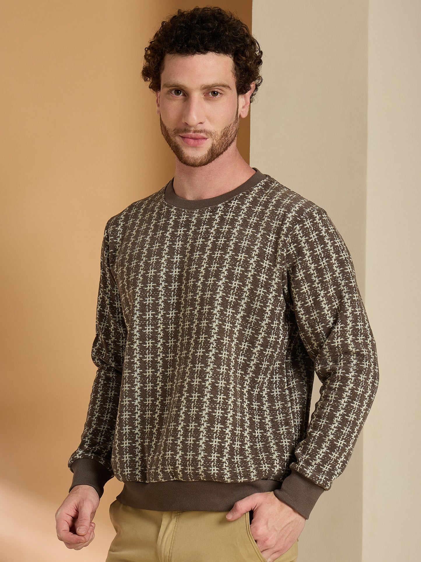 Textured Pullover Full Sleeves Round Neck Sweatshirt