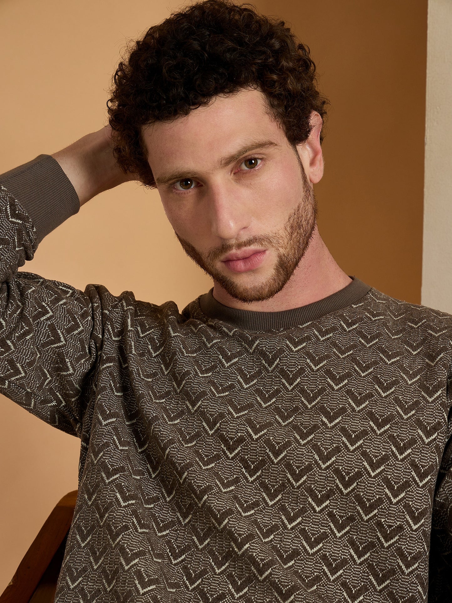 Textured Pullover Full Sleeves Round Neck Sweatshirt