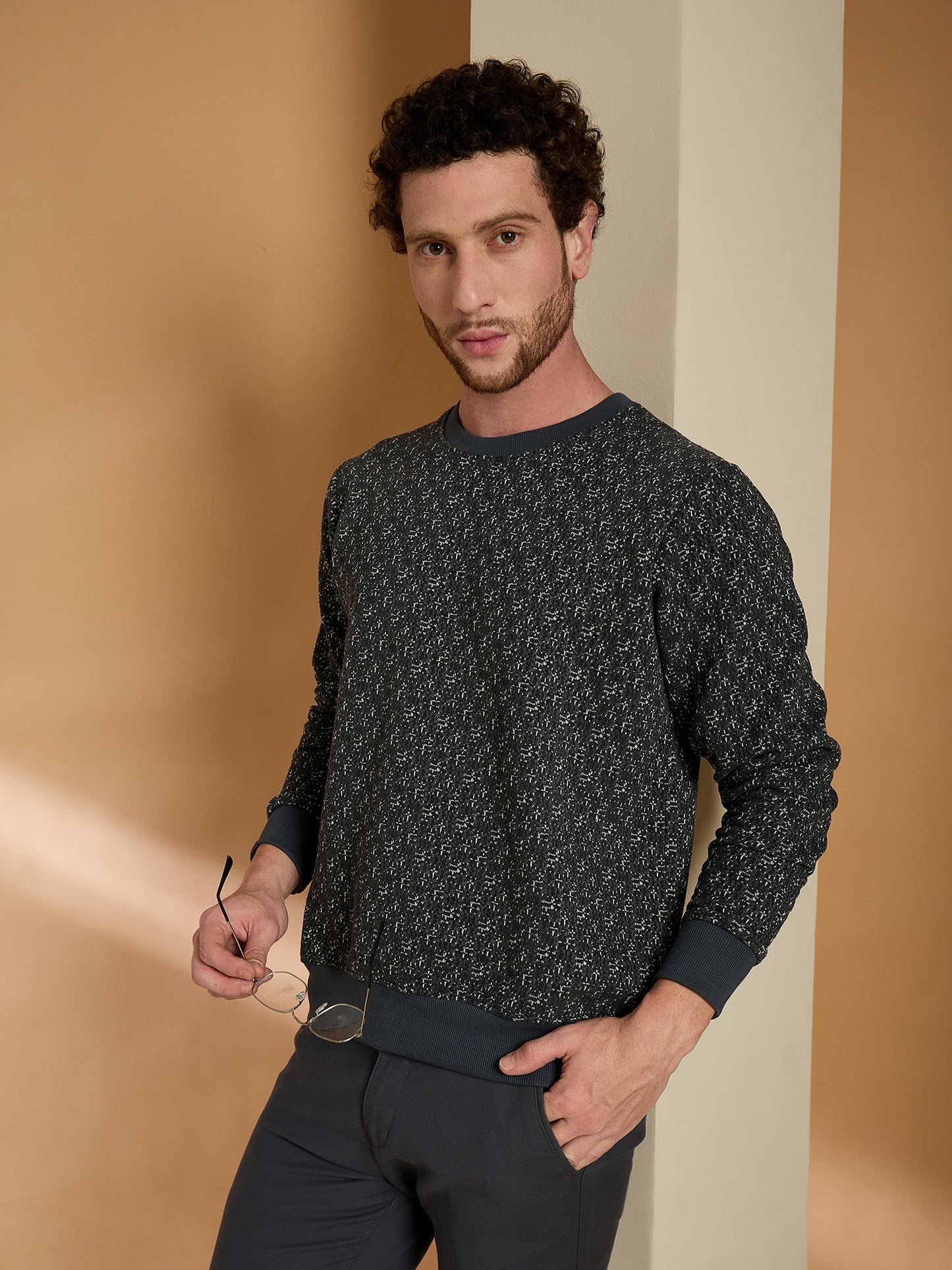 Textured Pullover Full Sleeves Round Neck Sweatshirt